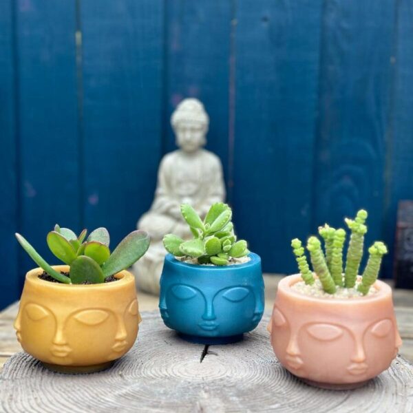 2024-05-0908.12.26-1