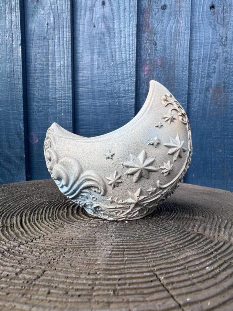 Bobas Plants Dreamer’s moon