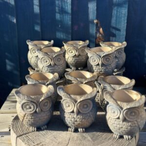 The Wise Guardian Owl Planter