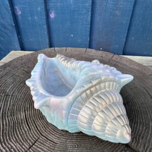 An iridescent hand-cast planter shaped like a large conch shell with a seafoam blue and pink pearlescent finish, resting on a dark wood grain surface against a blue wooden wall.