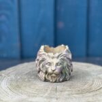 Close-up of a stone lion head planter with an iridescent green and purple shimmer, sitting on a wooden tree stump background.