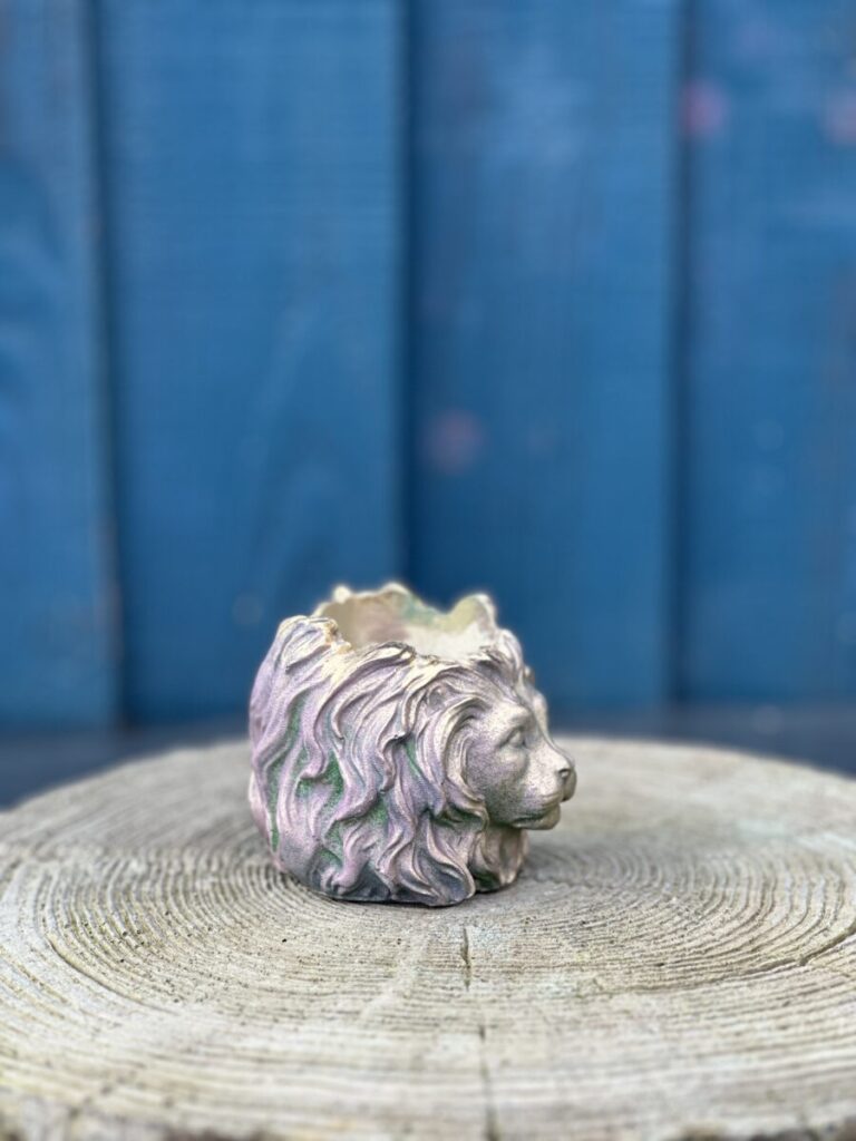 Close-up of a stone lion head planter with an iridescent green and purple shimmer, sitting on a wooden tree stump background.
