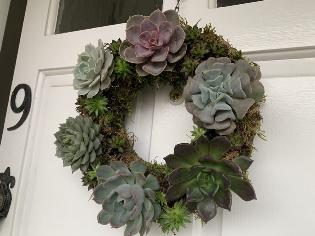 Door Wreath for Christmas