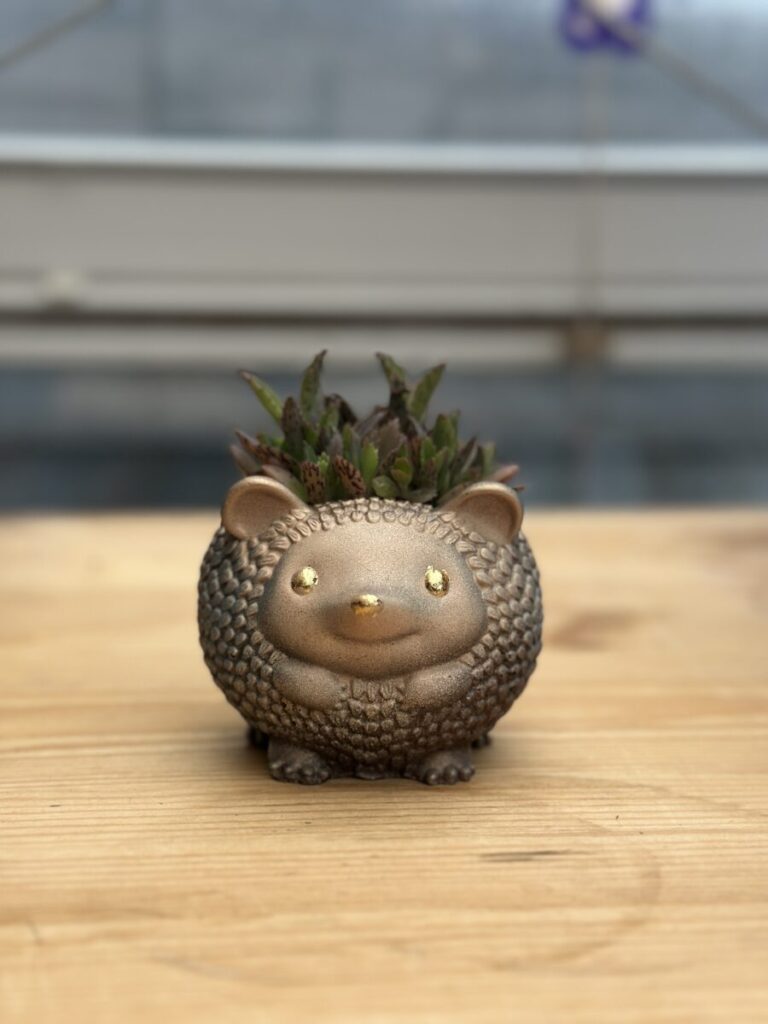 hedgehog