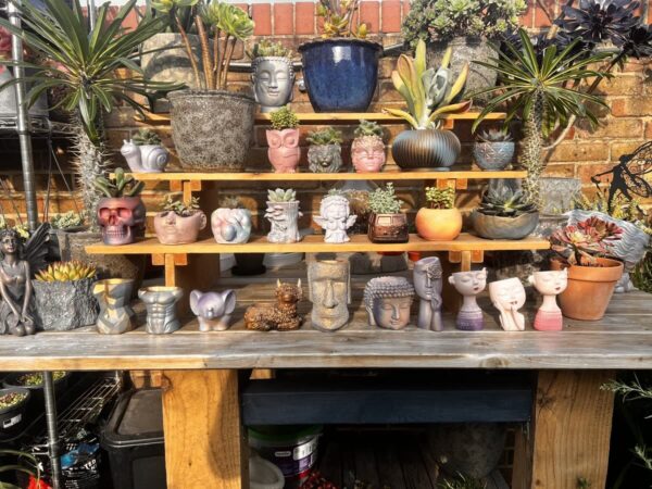 Face and animal planters lined up on the studio bench