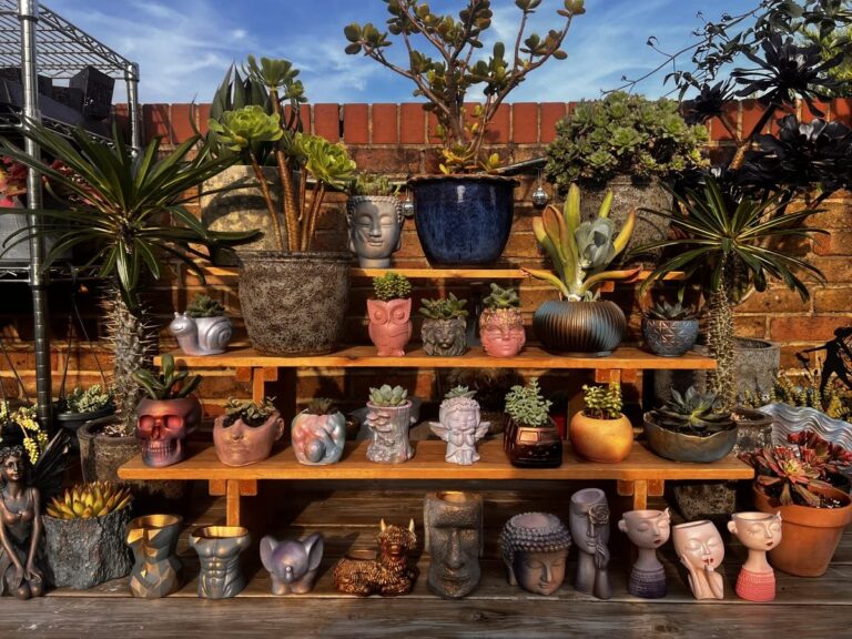 Shelves of Boba's handmade planters with succulents against the studio's brick wall