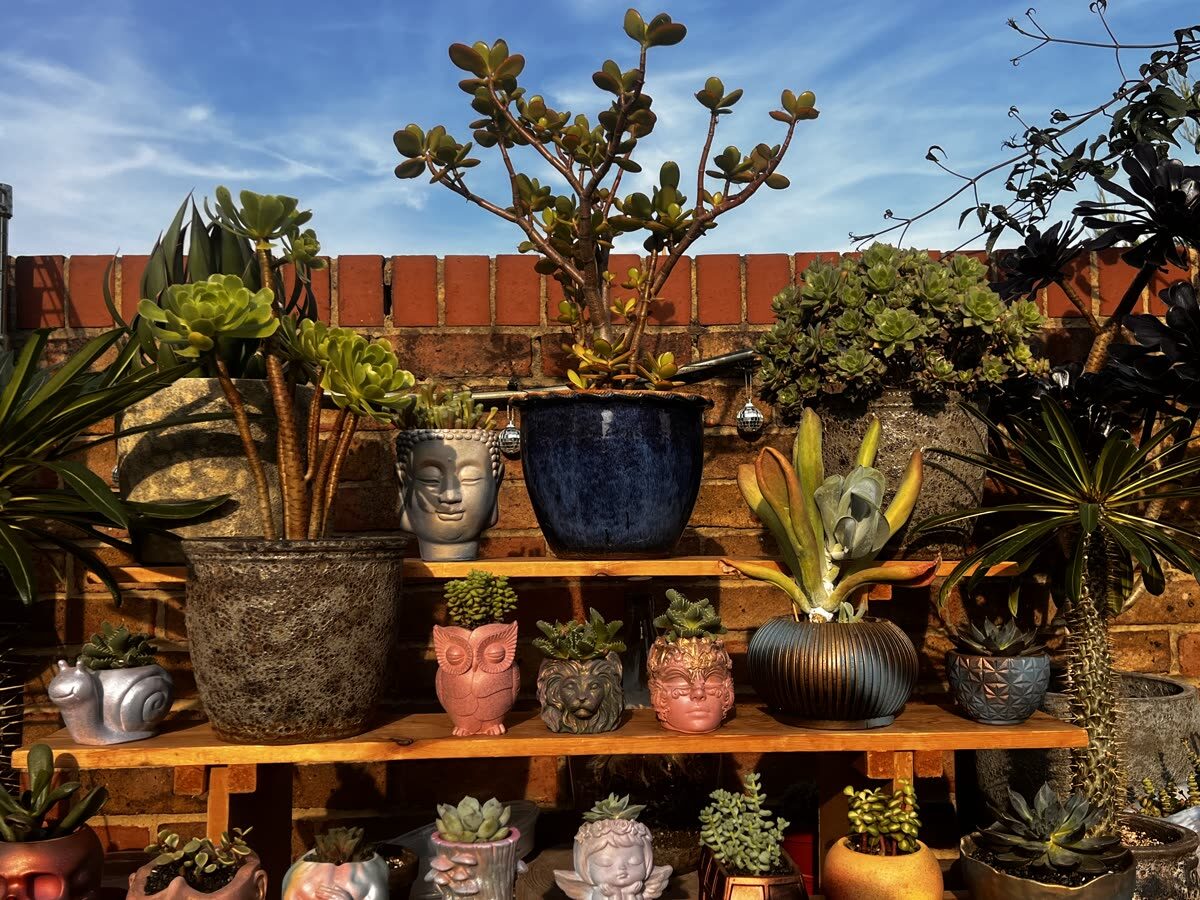 Hand-cast face and animal planters with succulents