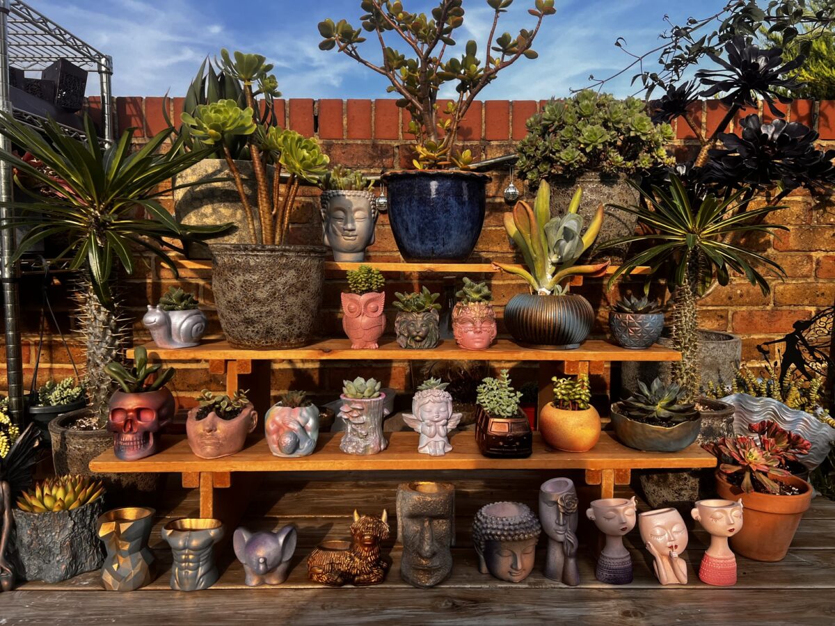 Boba's handmade succulent planters in the studio garden at golden hour