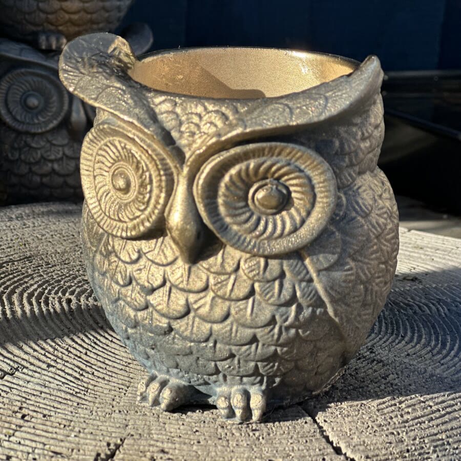 The Wise Guardian owl planter in Ancient Gold — this month's free gift