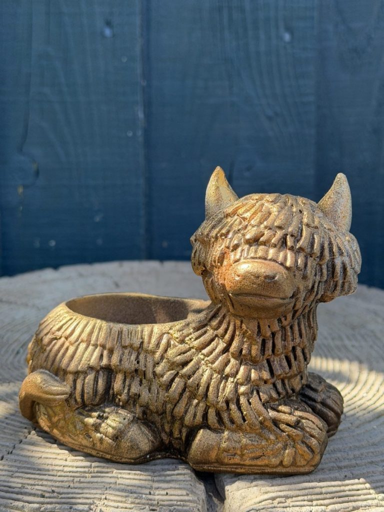 Hand-cast Highland cow planter in antique gold, shaggy coated and lying down with a planting well in its back, on a wooden log