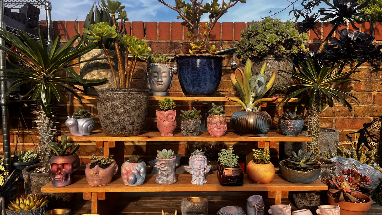 Boba's handmade planters on her garden shelves in the late-afternoon sun: owls, face pots, a skull, a snail and a cherub, planted with succulents against a brick wall