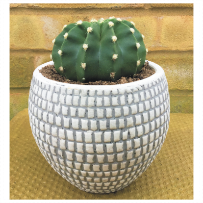 Large Mosaic Effect Cactus Planter