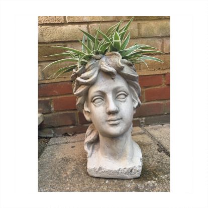 Roman Venus Head Planter With Exotic Fern